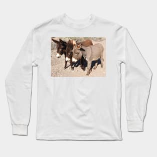 Wild burros, donkeys, wildlife, Wild Burro Buddies Long Sleeve T-Shirt